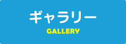 gallery-main