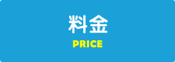 price-main